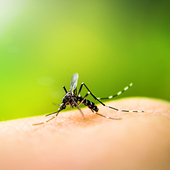 Buenas prácticas para que el dengue no se acerque a ti o a tu familia